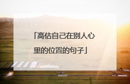 高估自己在别人心里的位置的句子
