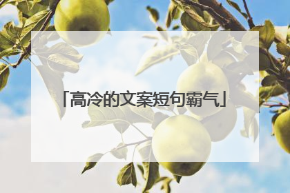 高冷的文案短句霸气