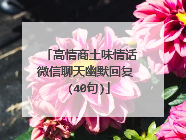 高情商土味情话微信聊天幽默回复 (40句)