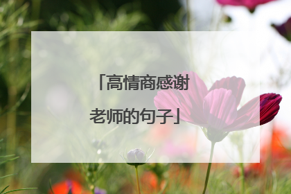 高情商感谢老师的句子