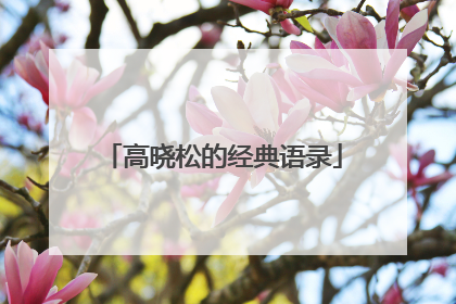 高晓松的经典语录