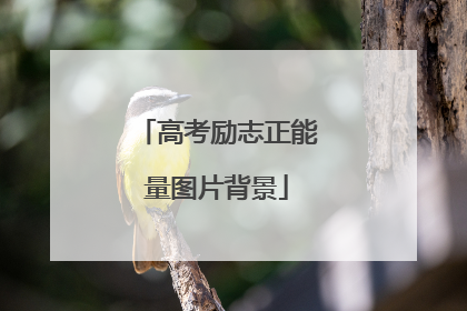 高考励志正能量图片背景