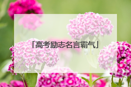 高考励志名言霸气