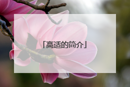 高适的简介