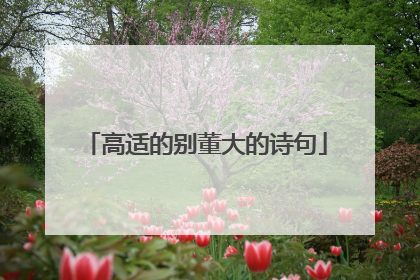 高适的别董大的诗句