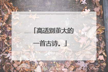 高适别董大的一首古诗。