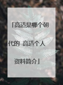 高适是哪个朝代的 高适个人资料简介