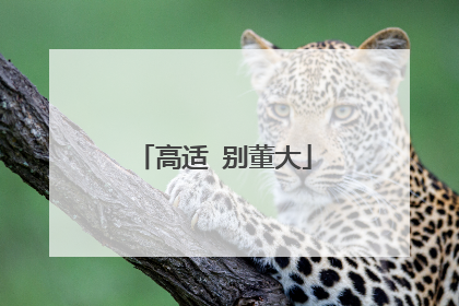高适 别董大