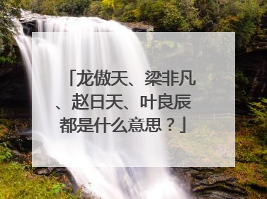 龙傲天、梁非凡、赵日天、叶良辰都是什么意思?