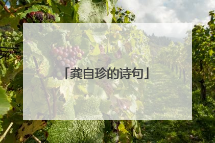 龚自珍的诗句