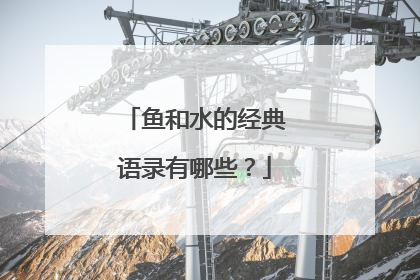 鱼和水的经典语录有哪些?