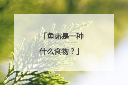 鱼露是一种什么食物?