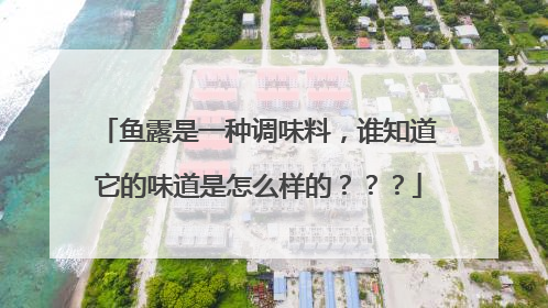 鱼露是一种调味料,谁知道它的味道是怎么样的???
