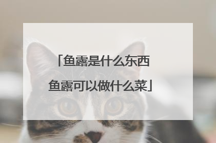 鱼露是什么东西 鱼露可以做什么菜
