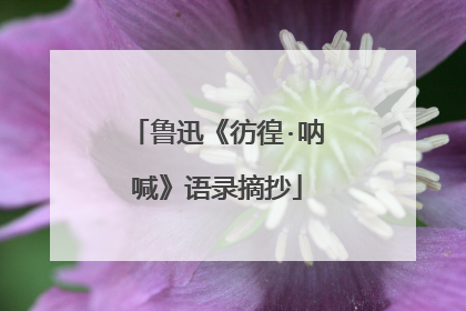 鲁迅《彷徨·呐喊》语录摘抄