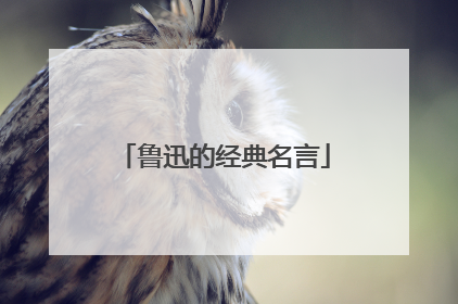 鲁迅的经典名言