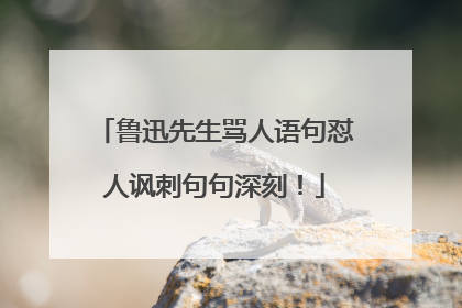 鲁迅先生骂人语句怼人讽刺句句深刻!