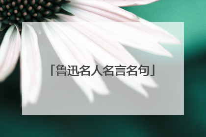 鲁迅名人名言名句