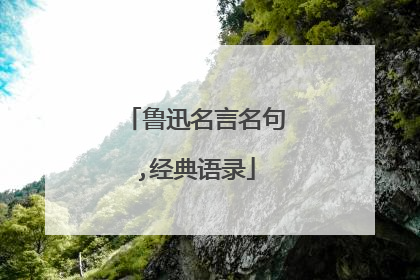 鲁迅名言名句,经典语录