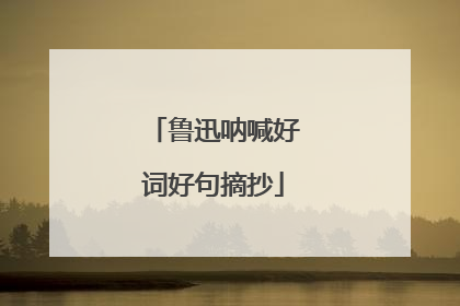 鲁迅呐喊好词好句摘抄