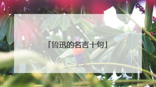 鲁迅的名言十句