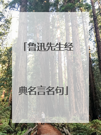 鲁迅先生经典名言名句