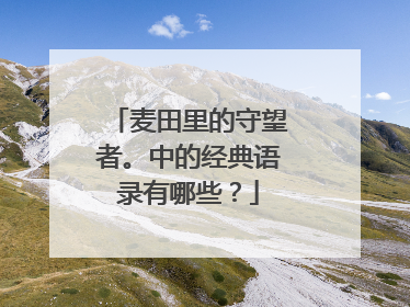 麦田里的守望者。中的经典语录有哪些?