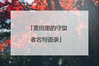 麦田里的守望者名句语录