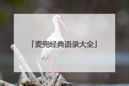 麦兜经典语录大全