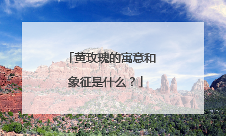 黄玫瑰的寓意和象征是什么?