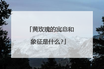 黄玫瑰的寓意和象征是什么?