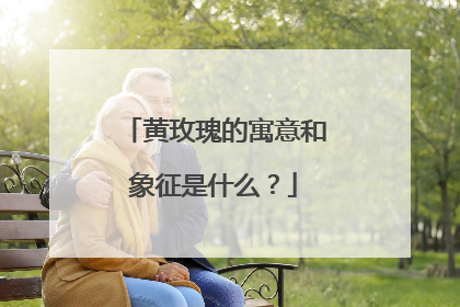 黄玫瑰的寓意和象征是什么?