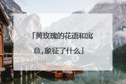 黄玫瑰的花语和寓意,象征了什么