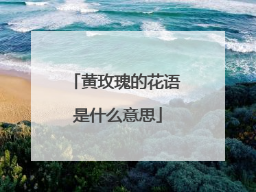 黄玫瑰的花语是什么意思