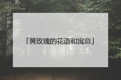 黄玫瑰的花语和寓意