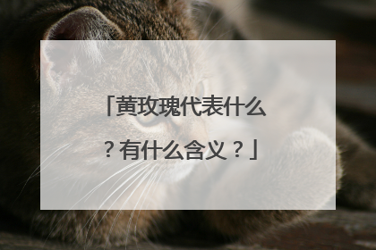 黄玫瑰代表什么?有什么含义?