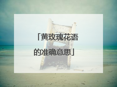 黄玫瑰花语的准确意思