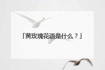 黄玫瑰花语是什么?