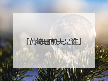 黄绮珊前夫是谁