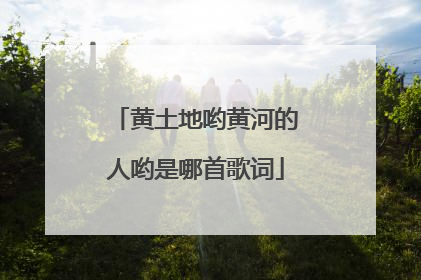 黄土地哟黄河的人哟是哪首歌词