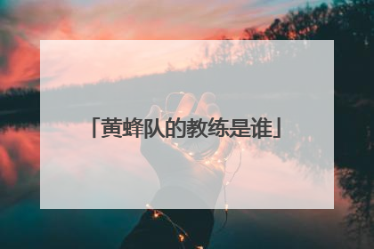 黄蜂队的教练是谁