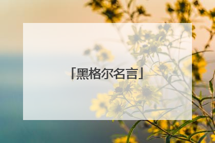 黑格尔名言