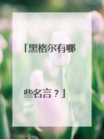 黑格尔有哪些名言?
