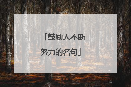 鼓励人不断努力的名句