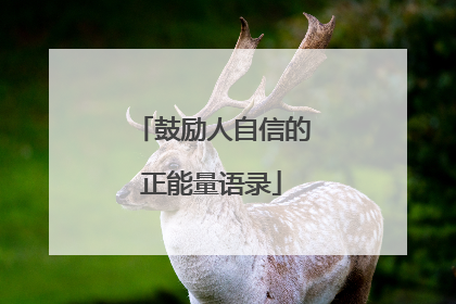 鼓励人自信的正能量语录