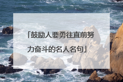鼓励人要勇往直前努力奋斗的名人名句