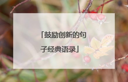 鼓励创新的句子经典语录