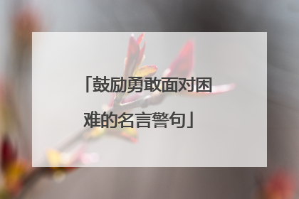 鼓励勇敢面对困难的名言警句