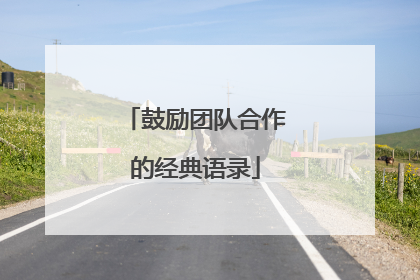 鼓励团队合作的经典语录