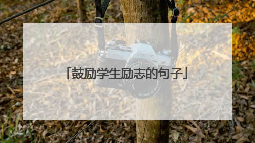 鼓励学生励志的句子